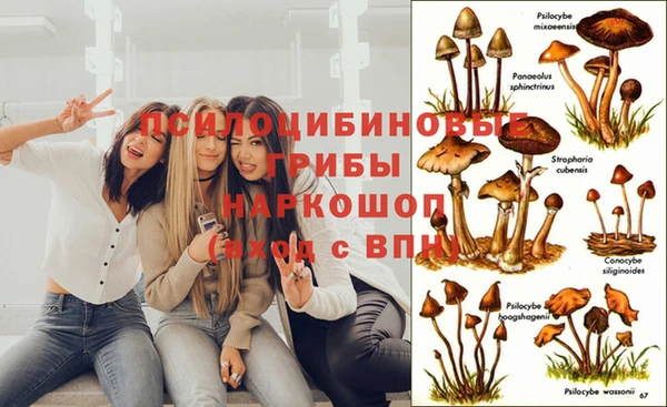 экстази Аркадак