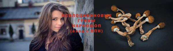 прущая мука Магадан
